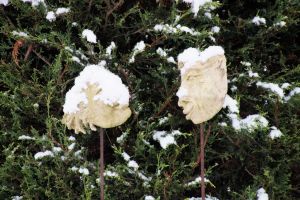 20190101 masken 20190101 masken